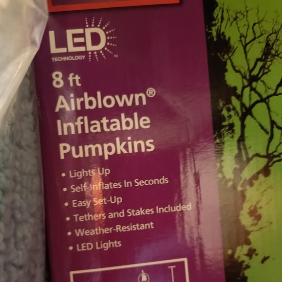 Inflatable pumpkins - Picture 6 of 7